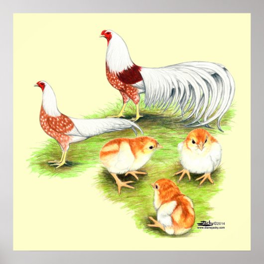 Yokohama Red Shoulder Family ポスター (正面)