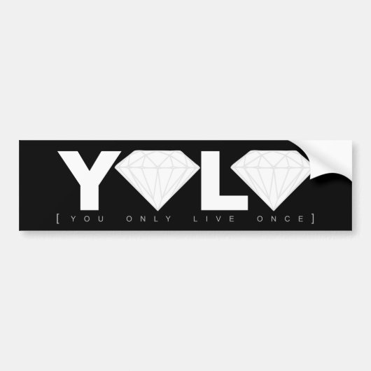 YOLO バンパーステッカー (正面)