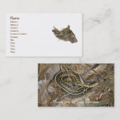 Yong Eastern Garter Snake名刺 名刺 (正面/裏面)