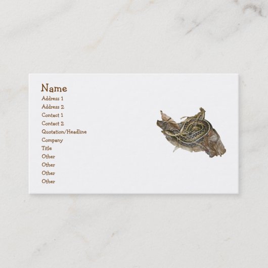 Yong Eastern Garter Snake名刺 名刺 (正面)