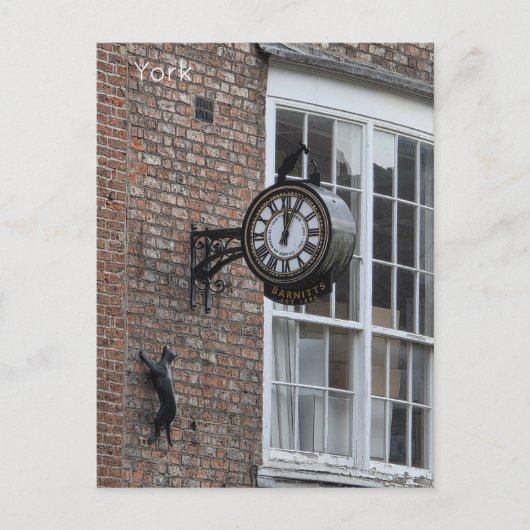 York Cat ポストカード (正面)