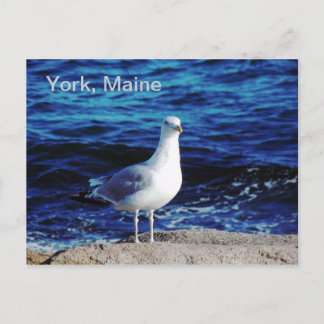 York, Maine Pustcard ポストカード