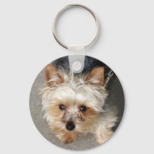 Yorkie キーホルダー