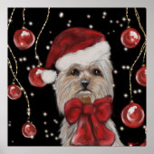 Yorkie ポスター (正面)