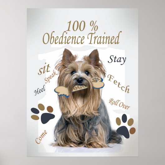 Yorkie 100 % Obedience Trained Poster ポスター (正面)