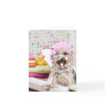 Yorkie Note Card