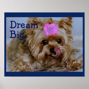 Yorkie Pup with Pink Flower in Hair ポスター