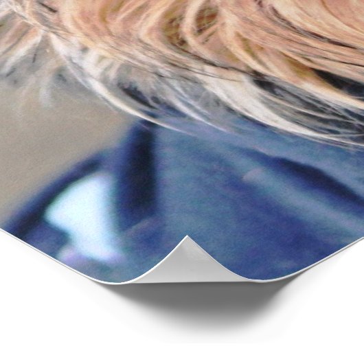 Yorkie Terrier  Poster ポスター (角)