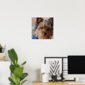 Yorkie Terrier  Poster ポスター (ホームオフィス)