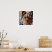 Yorkie Terrier  Poster ポスター (キッチン)