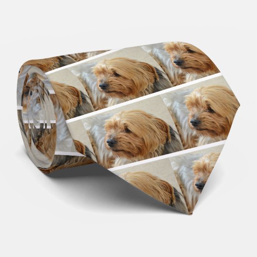 YorkkshireテリアJake ネクタイ (ロール)
