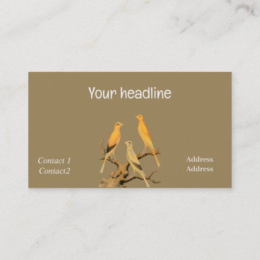 Yorkshire Canary Vintage 名刺 (裏面)