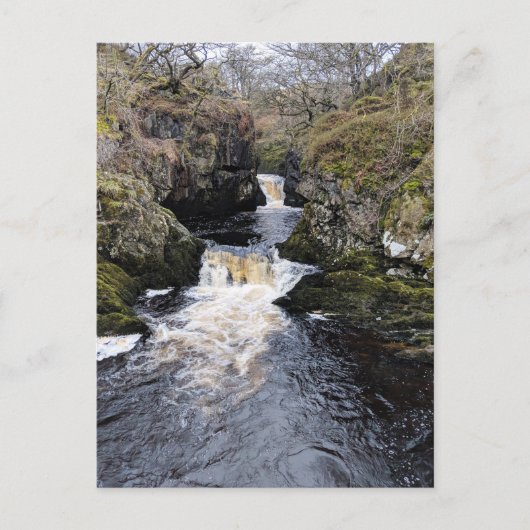 Yorkshire Dales, Ingleton – ライバル滝 ポストカード (正面)