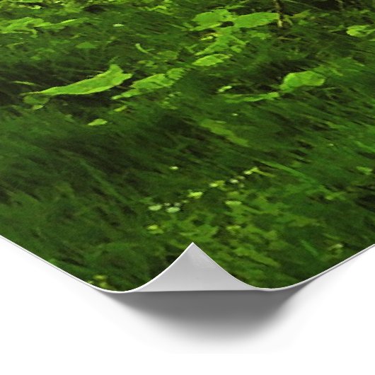 Yorkshire, Fountains Abbey, ポスター (角)