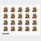 Yorkshire Terrier /ヨークシャーテリア。活発な種類の~ スクエアシール (シート)