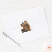 Yorkshire Terrier /ヨークシャーテリア。活発な種類の~ スクエアシール (封筒)