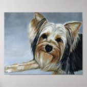 Yorkshire Terrier Dog Art Print ポスター (正面)