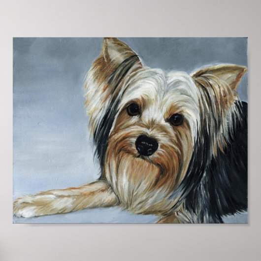 Yorkshire Terrier Dog Art Print ポスター (正面)