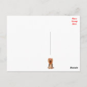 Yorkshire Terrier Puppy Dogハガキ ポストカード (裏面)