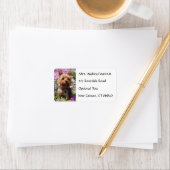 Yorkshire Terrier Puppy Name Address Mailing Label ラベル (インサイチュ)