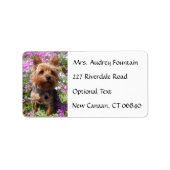 Yorkshire Terrier Puppy Name Address Mailing Label ラベル (正面)