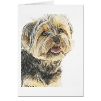 YorkshireTerrier.jpg