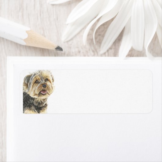 YorkshireTerrier.jpg ラベル (インサイチュ)