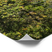 Yosemite Falls from Four Mile Trail ポスター (角)