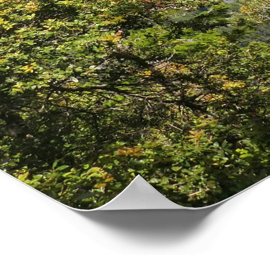 Yosemite Falls from Four Mile Trail ポスター (角)