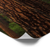 Yosemite Falls through the Forest ポスター (角)