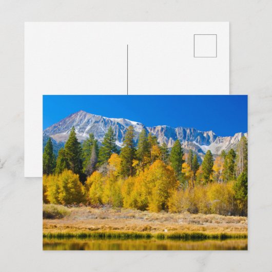 Yosemite National Park's Tioga Pass ポストカード (正面/裏面)