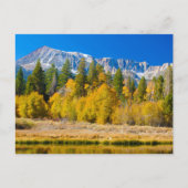 Yosemite National Park's Tioga Pass ポストカード (正面)