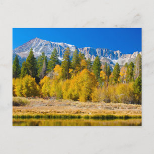 Yosemite National Park's Tioga Pass ポストカード