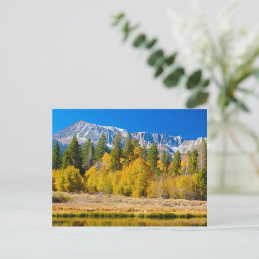 Yosemite National Park's Tioga Pass ポストカード (スタンド正面)
