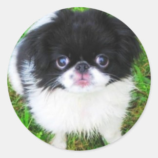 Yoshi Puppyステッカー ラウンドシール