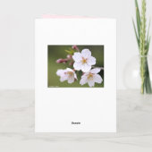 Yoshino Cherry カード (裏面)