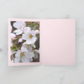 Yoshino Cherry カード (内部)