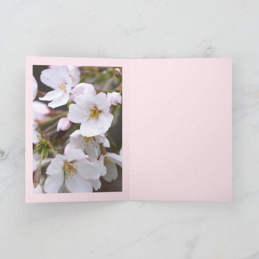 Yoshino Cherry カード (内部)