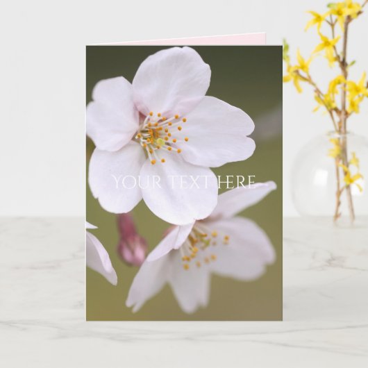 Yoshino Cherry カード (黄色い花)