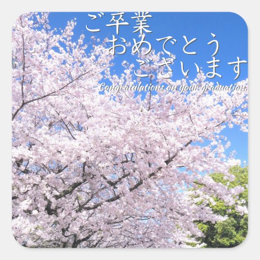 Yoshino Cherry スクエアシール (正面)