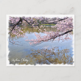 Yoshino Cherry ポストカード