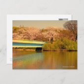 Yoshino Cherry ポストカード (正面/裏面)