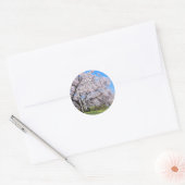 Yoshino Cherry ラウンドシール (封筒)