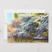 Yoshino Cherry: Flat Card カード (正面)