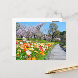 Yoshino Cherry & Iceland Poppy ポストカード