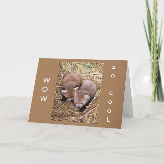 「YOU」と「誕生日」を共有することは「SO」カーカッコいいド カード (正面)