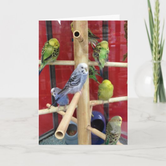 「YOU」に対する「TWEETTING」ハッピーイースター シーズンカード (正面)