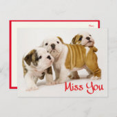 You 恋しく思  Bulldog Pupy Dogはがき ポストカード (正面/裏面)