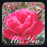 You 恋しく思 Romantic Pink Roseステッカー スクエアシール<br><div class="desc">You 恋しく思 Romantic Pink Roseステッカー</div>