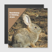 You 考え Brown Bunny写真自然動物 (正面/裏面)